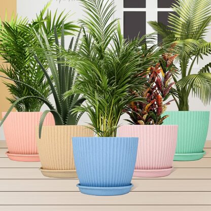 Round Flower Pot with Bottom Tray (5 Pcs Set / Small / 14×16 Cm) - Image 6