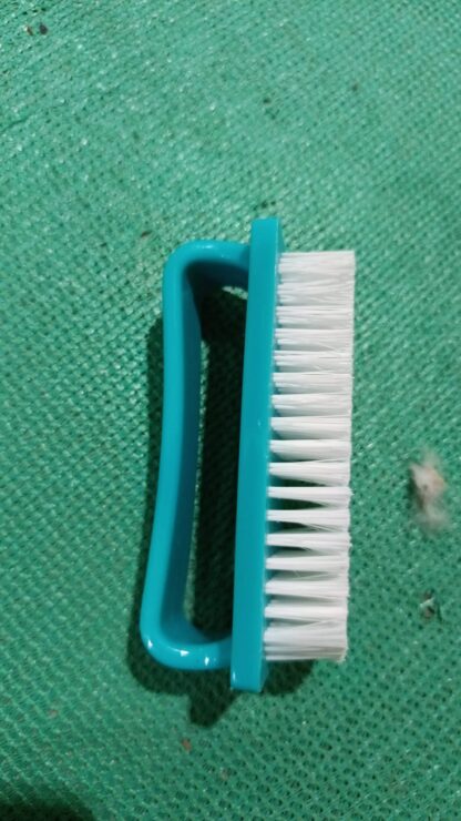 Multipurpose Scrubber Hard Brush with Handle (1 Pc / Small) - Image 7