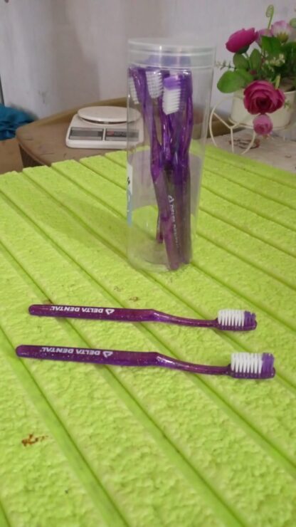 Plastic Toothbrush With Plastic Round Box (10 pcs Set) - Image 7