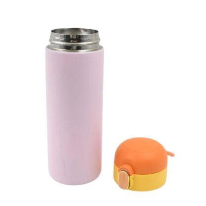 Eco-Friendly Insulated Water Bottle